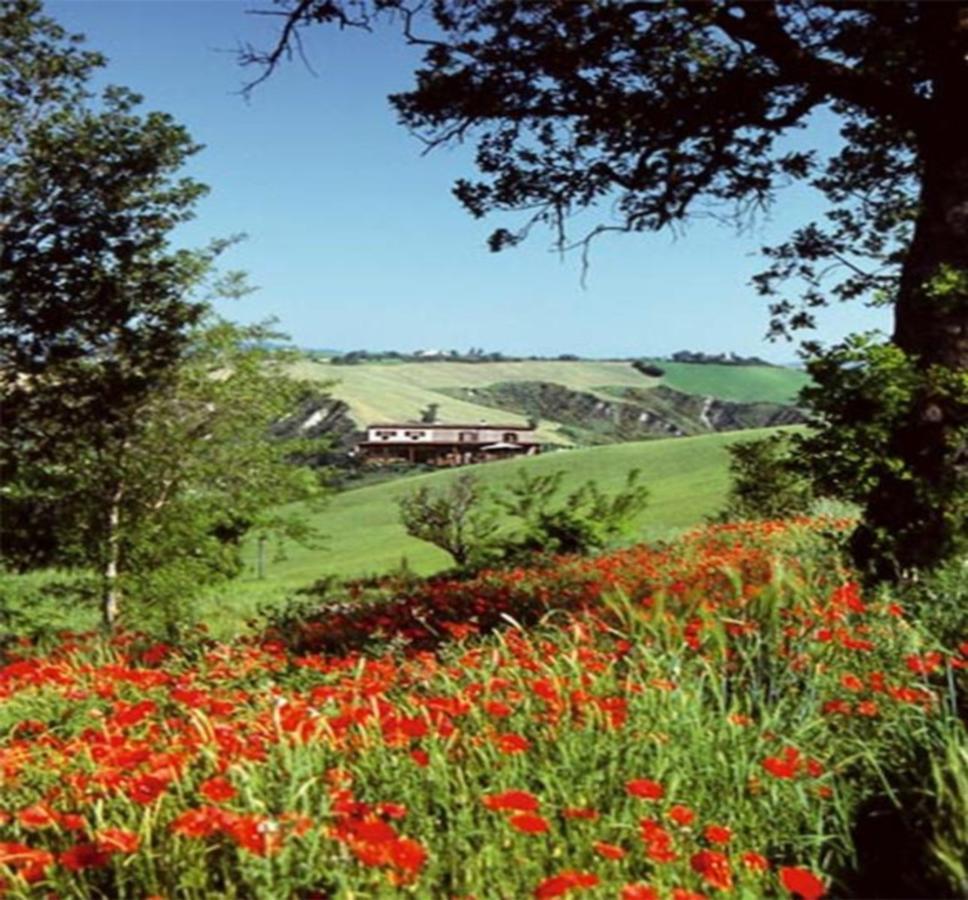 La Valle Del Sole Country House ξενώνας SantʼIppolito Εξωτερικό φωτογραφία